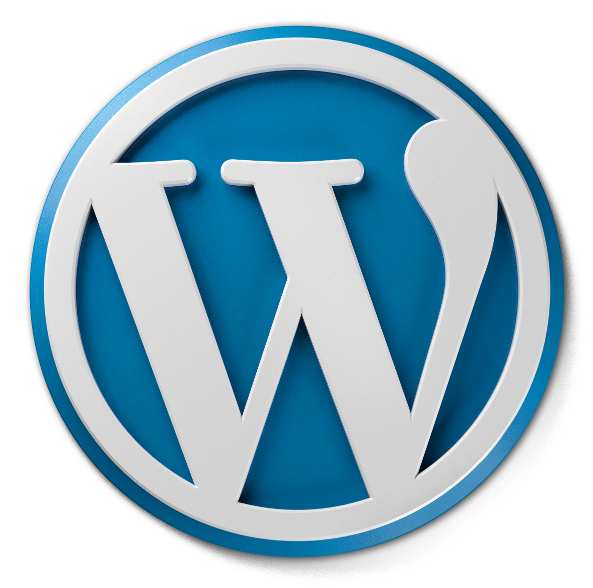 Get the best SEO guidance for Wordpress blogs as a beginner