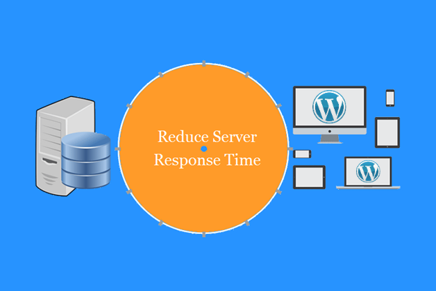 Want to Reduce the Server Response Time of Your WordPress Site? Here is How You Can Do It!