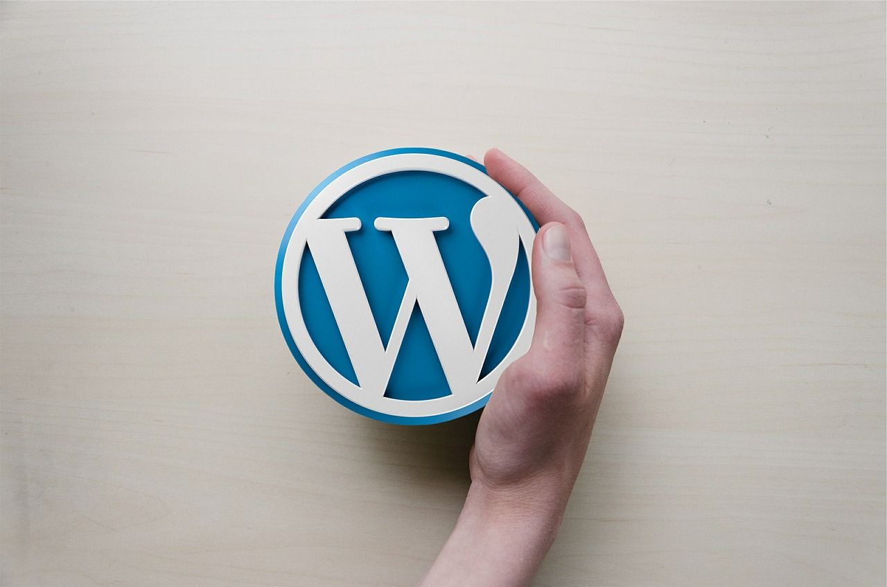 Get Most out of WordPress Potential