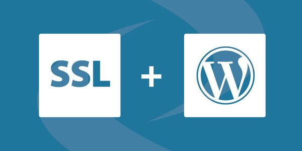 Migrate Your Wordpress Site from HTTP to HTTPS