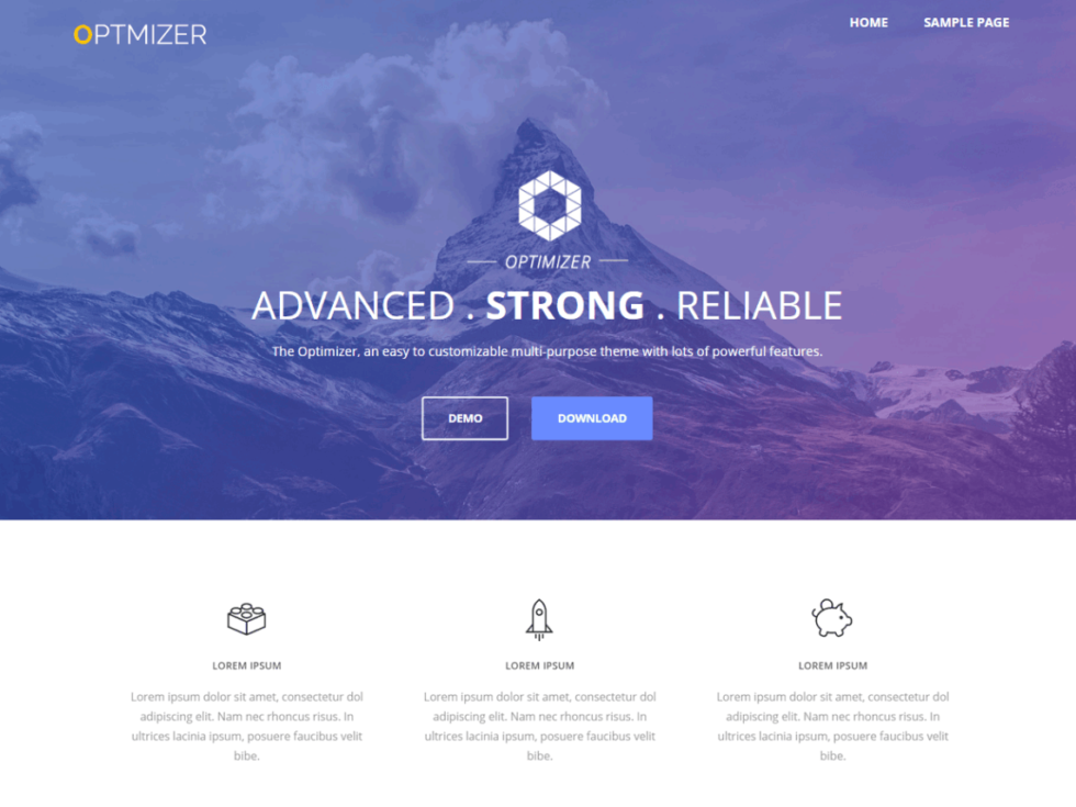 Wordpress Optimizer