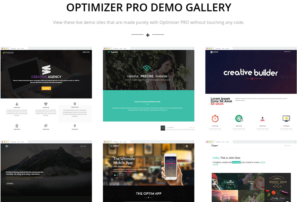 WP Optimizer Demo Gallery